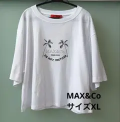MAX&Co クルーネック　ロゴTシャツ　ショート丈　XL マックスマーラのサムネイル