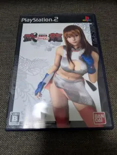 【レア出品】格闘美神 武龍（ウーロン） PS2