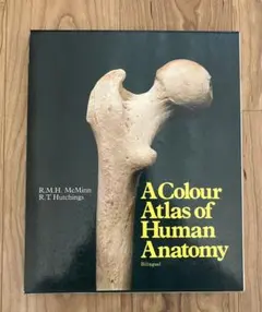 Item thumbnail for item f963dae6-82db-4e69-aeac-0c95a22a11fa