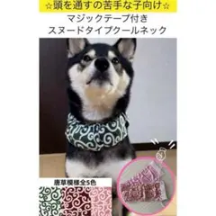マジックテープ付き　スヌードタイプ　クールネック　犬 唐草模様