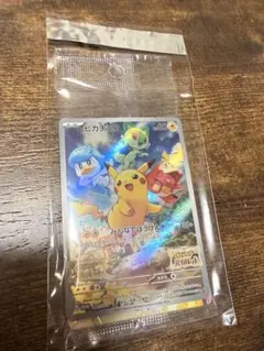 SNKRSBYEBYETEEZPOKE様 リクエスト 2点 まとめ商品