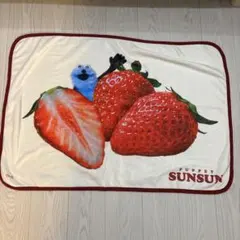 2026年最新】パペットスンスン クッションの人気アイテム - メルカリ