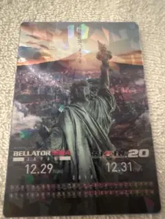 BELLATOR MMA & RIZIN 20 イベントチケット