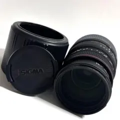 SIGMA 70-300mm F4-5.6 APO DG MACROのサムネイル