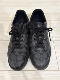 GUCCI ブラック カジュアルスニーカー／ 箱、シューズ袋、未使用の替え