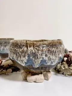 Item thumbnail for item 0f8869a6-2929-4238-9e78-450777e2924c