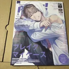 12/13.5◎月刊パッシュ　PASH! 2025年5月号