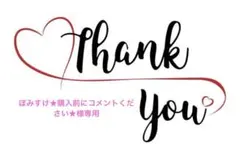 ぽみすけ★購入前にコメントください★様専用