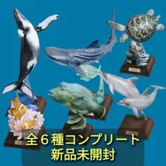 新品未開封 海洋Ⅰ 特装版 全６種 コンプリート セット ネイチャーテクニカラー