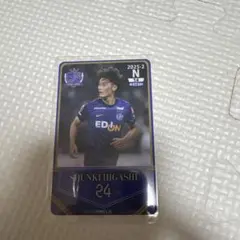 サンフレッチェ広島 スポーツカード