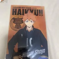 ハイキュー 日向翔陽 グッズセット 缶バッジ カード キーホルダー ステッカー