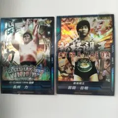 Item thumbnail for item cc87aaaf-fac6-4ef0-aa61-f970b269c5ba