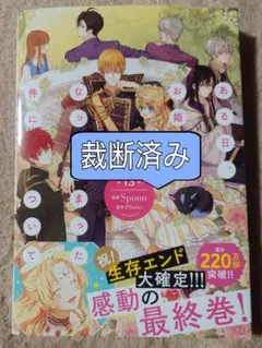 ある日、お姫様になってしまった件について13　裁断済み