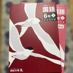 予習シリーズ 6年下　2025夏購入最新