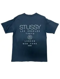 STUSSY（ステューシー）ヴィンテージTシャツ 2000年製 M