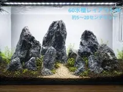 ★清流石12キロ★厳選レイアウトセット　アクアリウム用　龍王石　青龍石　ADAのサムネイル