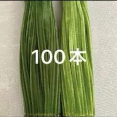 緑　黄緑　モール