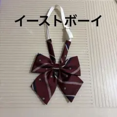 バーガンディ ストライプ リボンタイ