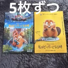 映画フライヤー　私がビーバーになる時 2種類　フライヤー　チラシ