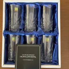 HOYA CRYSTAL TUMBLER 6個セット