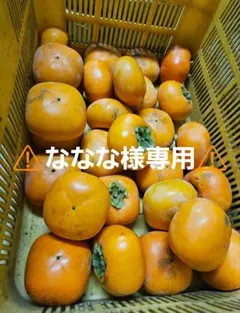 ⚠️⚠️ななな様専用⚠️⚠️