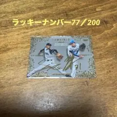 ビルディバイド カード 乃木坂46 井上和 サイン SC シークレット