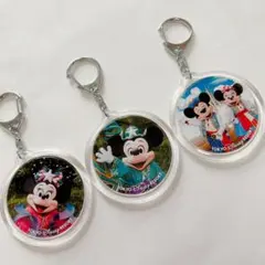 東京ディズニーリゾート アクリルキーホルダー おまとめ