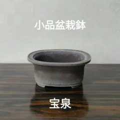 楕円形盆栽鉢 三共茶色 約27cm x 20cm 楕円形盆栽鉢 三共茶色 約27cm x 20cm - メルカリ