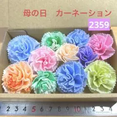 ソラフラワー　2359