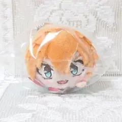 2025年最新】源光 ぬいぐるみの人気アイテム - メルカリ