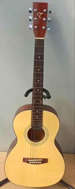 2026年最新】takamine tの人気アイテム - メルカリ