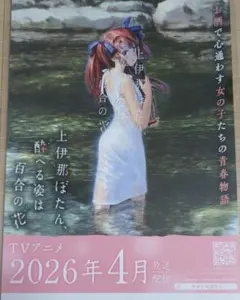 【非売品】上伊那ぼたん、酔へる姿は百合の花 ミニポスター クリアファイル セット 非売品】上伊那ぼたん、酔へる姿は百合の花 ミニポスター クリア