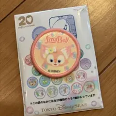 【ワッペン】ディズニー ダッフィー&フレンズ 20周年　新品　未使用　リーナベル