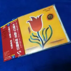相曽晴日CD　太陽のご馳走　８０年代シティポップ