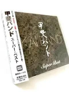 甲斐バンド 邦楽