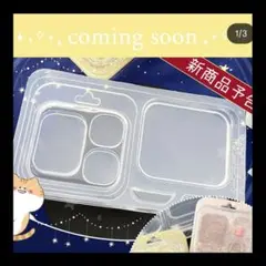 シリコンモールド パッケージ