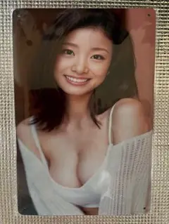 新品未開封　上戸彩　イメージオマージュブリキ看板　11