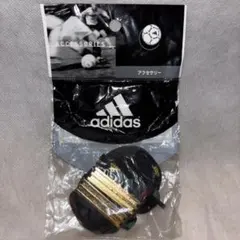 Item thumbnail for item e1a9042b-029b-4655-b858-d8269b1fe8e2