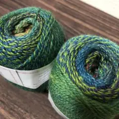 ツートングラデーションウールヤーン2玉ピーコックカラー