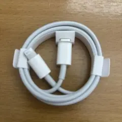 Lightningケーブル iPhone購入時付属品