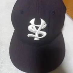 Item thumbnail for item d33f4a2b-068e-4a89-97df-0a57d5d6c611