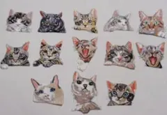 猫の刺繍をしたアイロン ワッペン 13種類セット