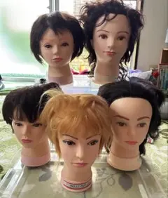 美容師用 カットウィッグ 5体セット