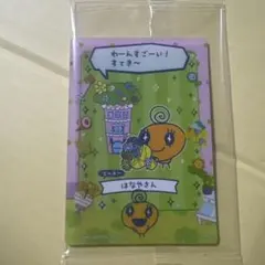 めめっち