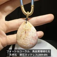 スポンジ珊瑚 穴あき タンブル ana_tumble237 - メルカリ