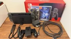 Nintendo Switch グレー 本体+ソフト2本