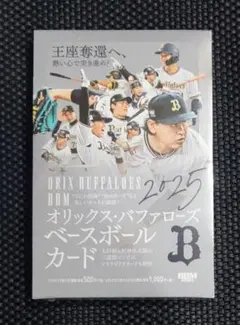オリックスバファローズBuffaloes開幕お楽しみ袋2026 Lサイズ - メルカリ