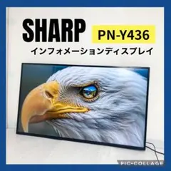 SHARP インフォメーションディスプレイ PN-Y436 デジタルサイネージのサムネイル
