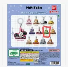 BANDAI　MINITEEN めじるしアクセサリー　THE8　 ディエイト