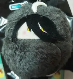 ウマ娘 プリティーダービー くるみたぴぬい マンハッタンカフェ